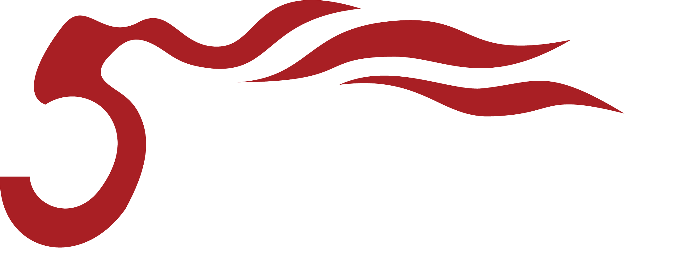 Soundking Electronics & Sound Co., Ltd.
