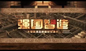 CCTV Old Story Channel Powerful National Intelligence Episode 2