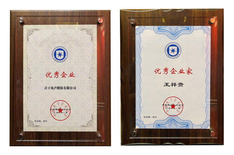 SoundKing was again granted "Excellent Enterprise" in China's electronic information industry