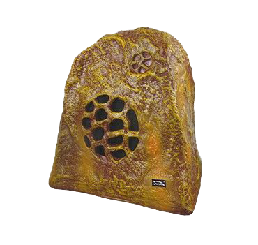 Too fierce! When Xiamen Huoshaoyu meets Soundking, the atmosphere is immediately filled with excitement